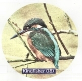 Kingfisher