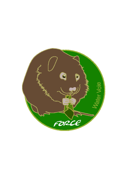 Water Vole