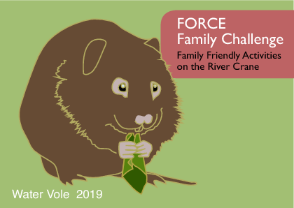 Water Vole