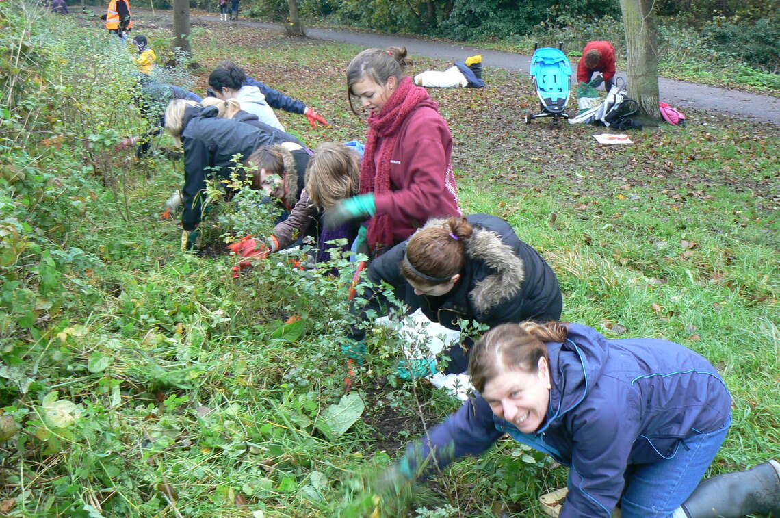 EV Volunteers planting whips