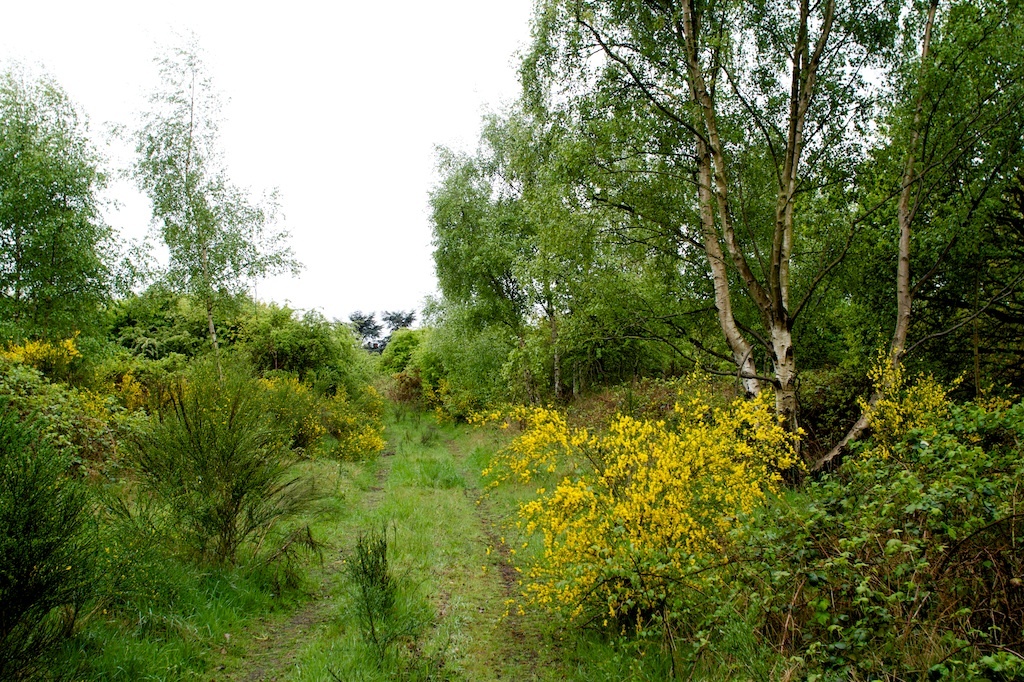 Feltham Marshalling Yards