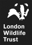 LWT logo