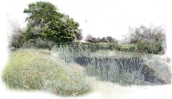 River Crane Restoration Vision