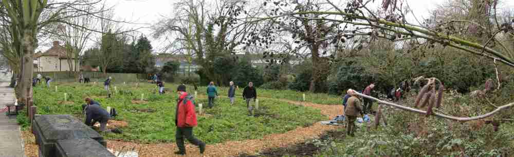 Sunday Volunteers