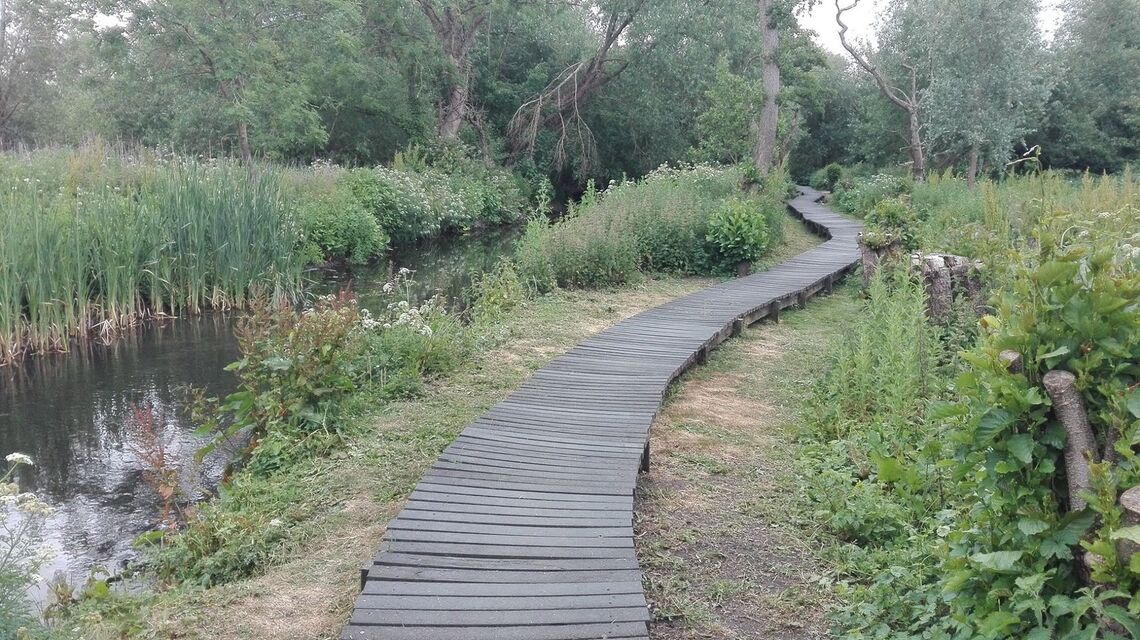 The Crane Valley Trail