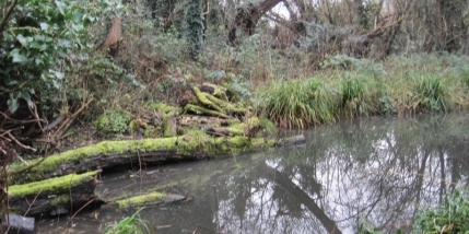 WT Feltham Loop